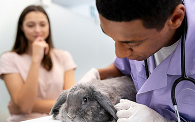 Clínica veterinária para animais silvestres em americanopolis