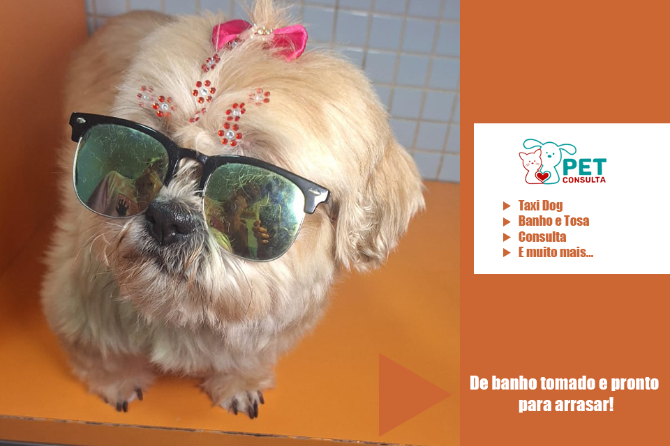 Pet Shop em Diadema SP Pet Shop em Diadema SP