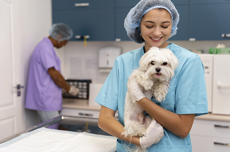veterinario-popular-diadema | clínica veterinária Pet Consulta.